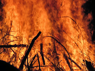 Festa celtica di Beltane a Masserano - Foto Gallery